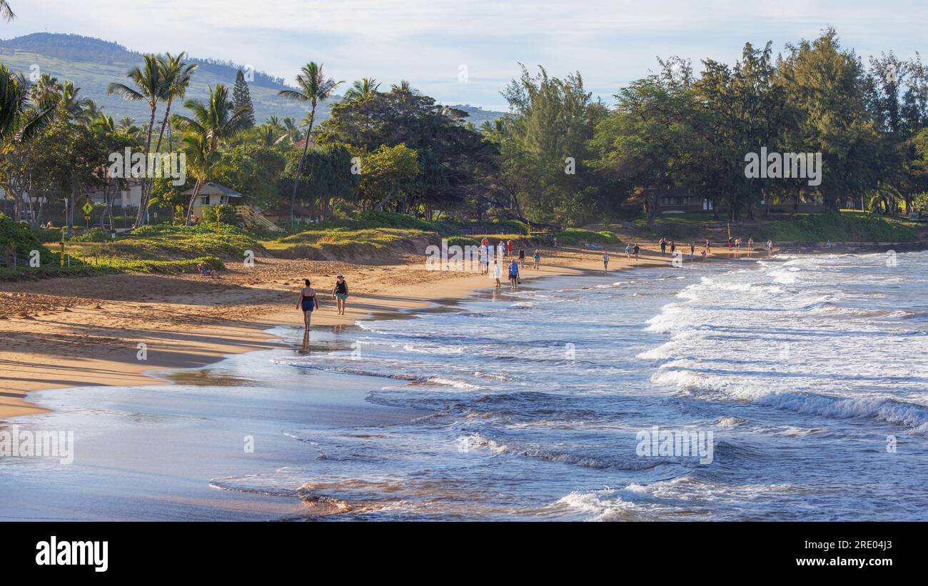 Spiaggia sabbiosa al mattino, USA, Hawaii, Maui, Kihei Foto Stock