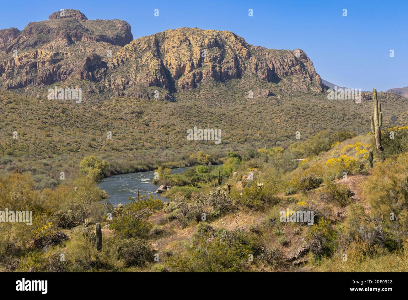 Salt River in primavera, USA, Arizona, Saguaro Lake, Phoenix Foto Stock