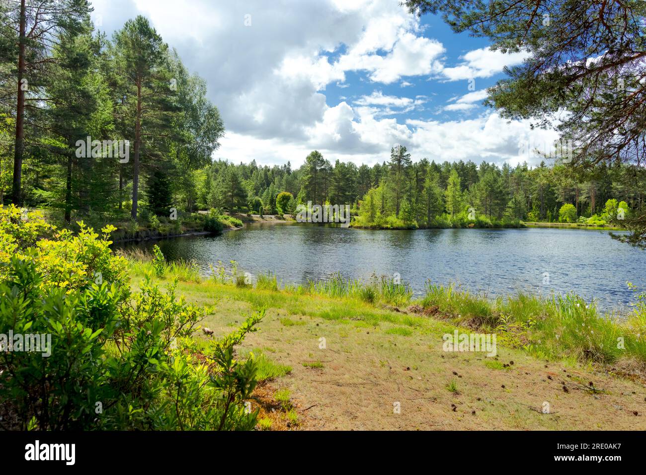 Ilolan Arboretum, Salo, Finlandia. ja taimisto. Kalkkilantie 1325, 25370 Salo. Foto Stock