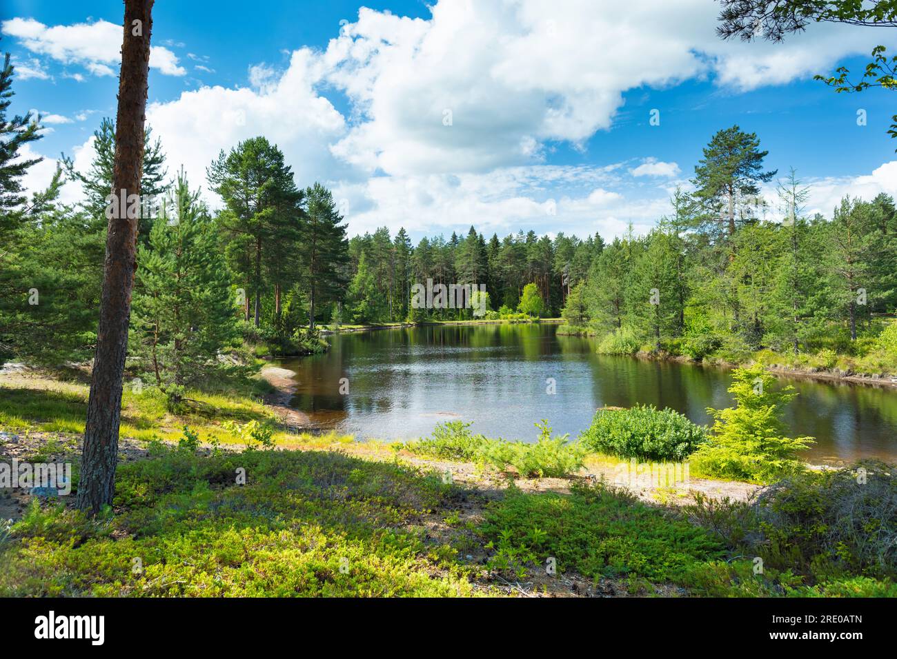 Ilolan Arboretum, Salo, Finlandia. ja taimisto. Kalkkilantie 1325, 25370 Salo. Foto Stock