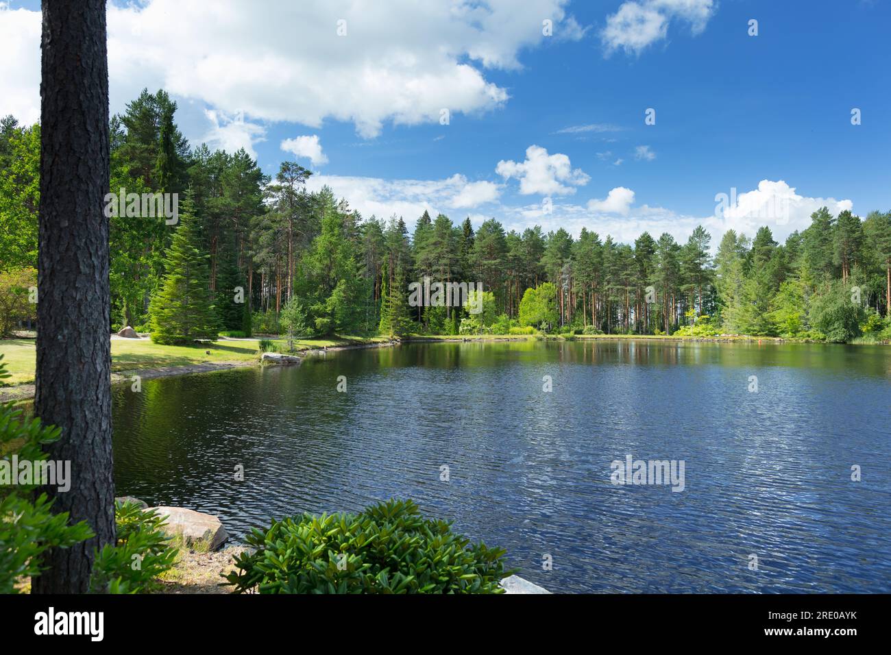 Ilolan Arboretum, Salo, Finlandia. ja taimisto. Kalkkilantie 1325, 25370 Salo. Foto Stock