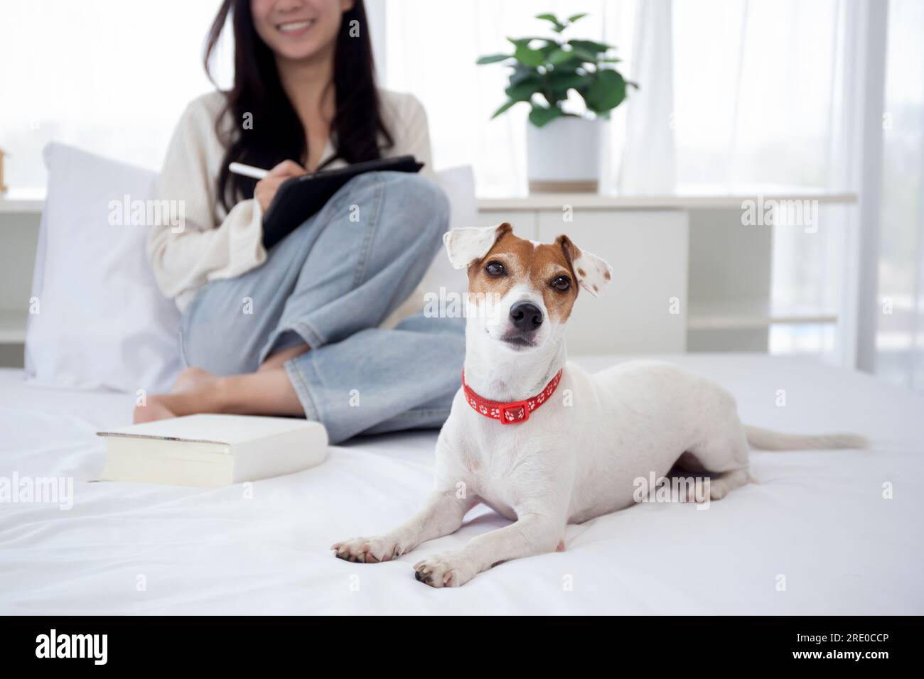 Ravvicinare la giovane donna asiatica seduta su un tablet digitale a Internet online con il cane da compagnia in camera da letto a casa, donna che usa Tab Foto Stock