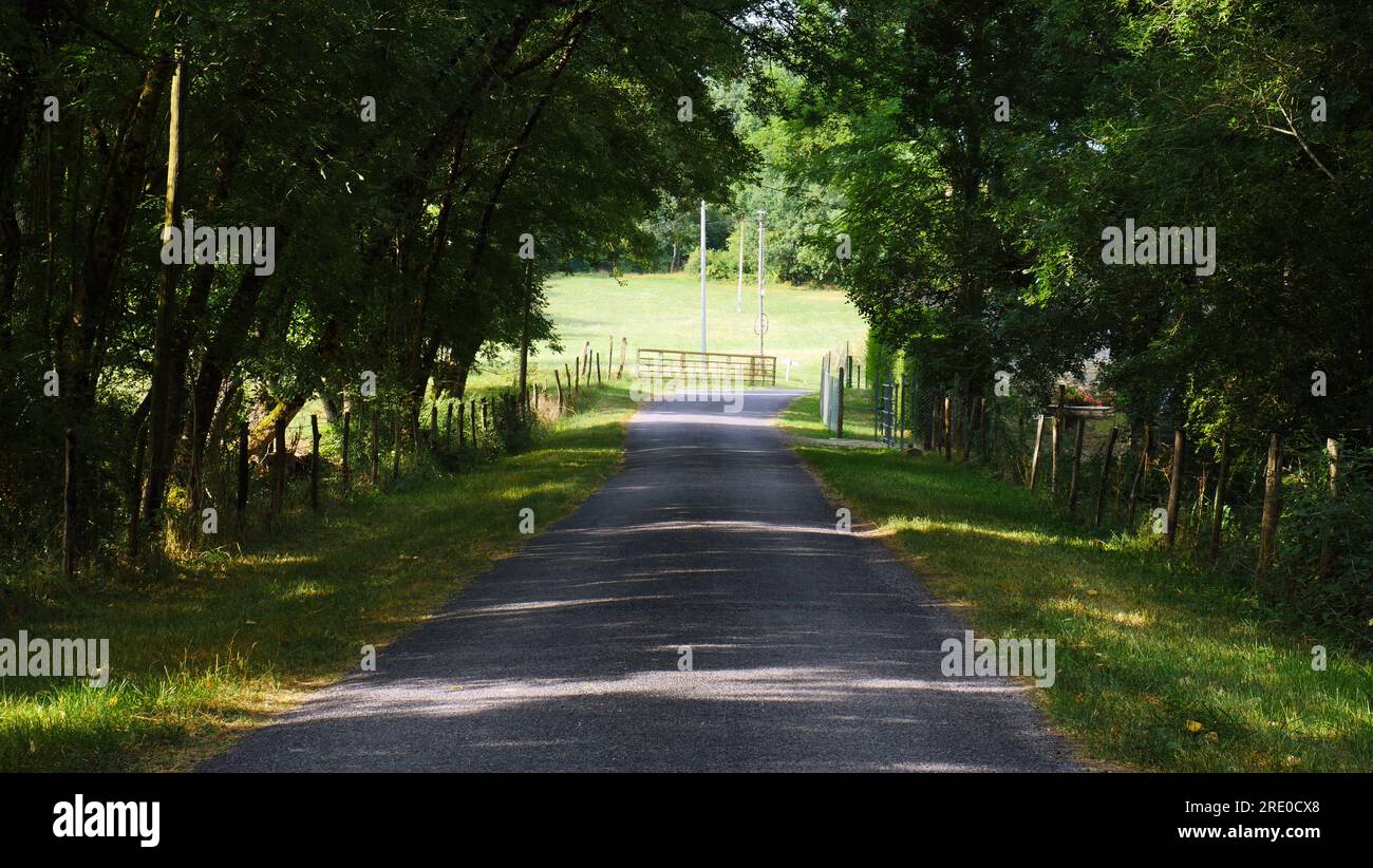 Bella strada secondaria di campagna circondata da verde vegetazione in estate. Giornata di sole. Ombre degli alberi. Monflanquin, Francia. Foto Stock