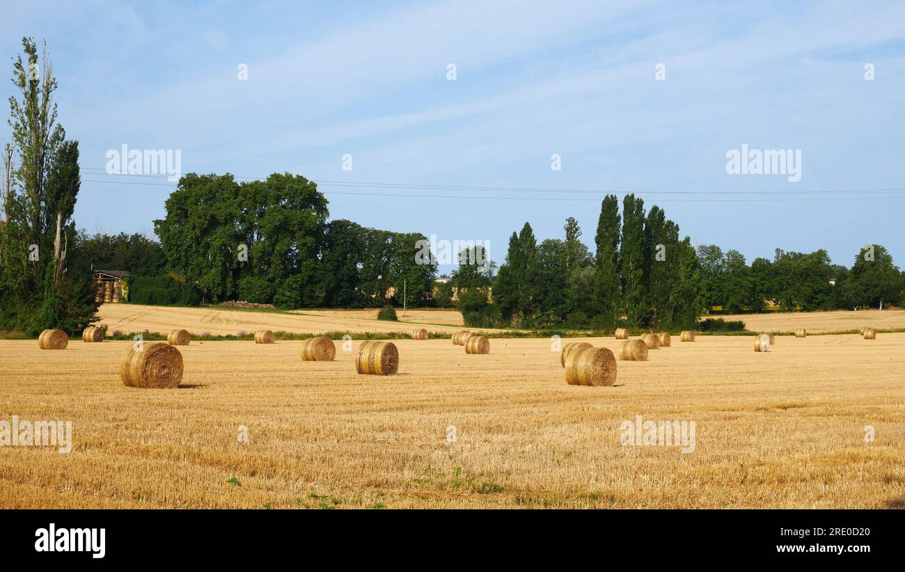 Balle di fieno e paglia in un campo agricolo. Monflanquin, Lot-et-Garonne, Francia. Foto Stock