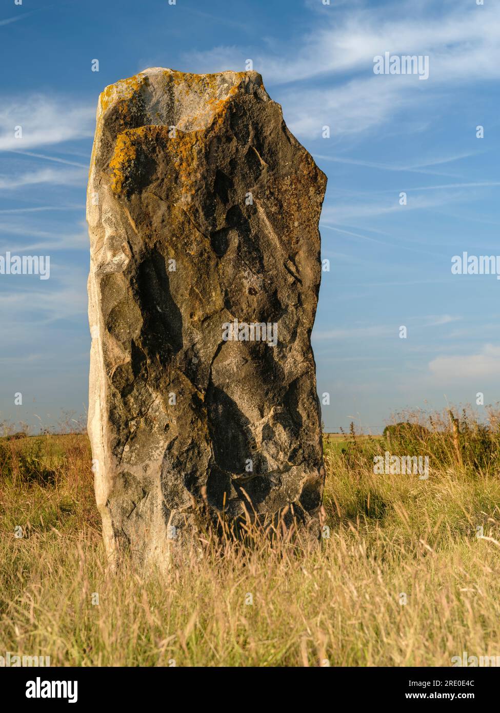 Una delle grandi pietre di Sarsen neolitiche che costeggiano West Kennet Avenue nel villaggio Wiltshire di Avebury. Foto Stock