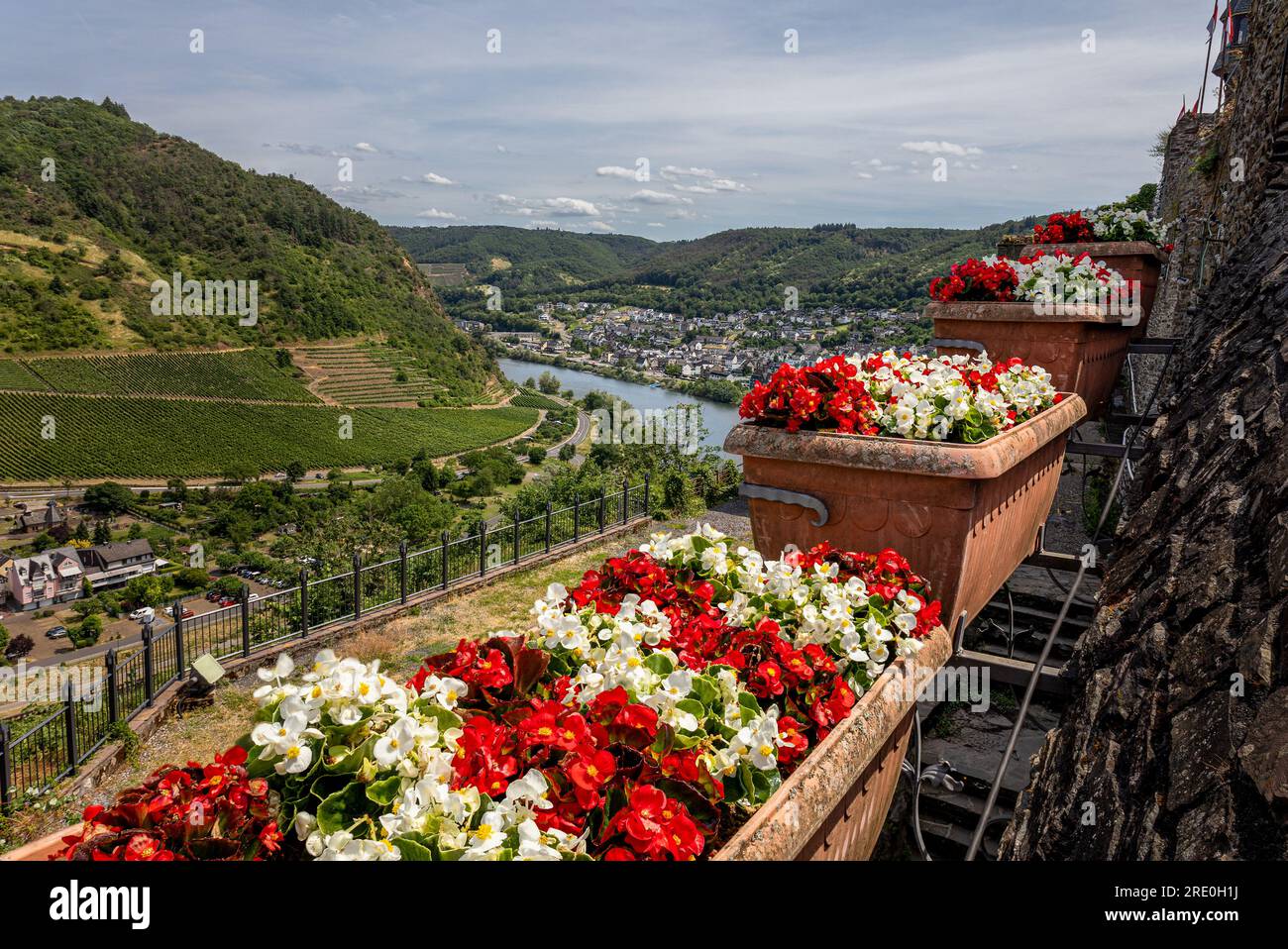 Ammira dal castello chiamato "Reichsburg" le splendide scatole di fiori colorate, la città tedesca di Cochem e il fiume Mosella. Foto Stock