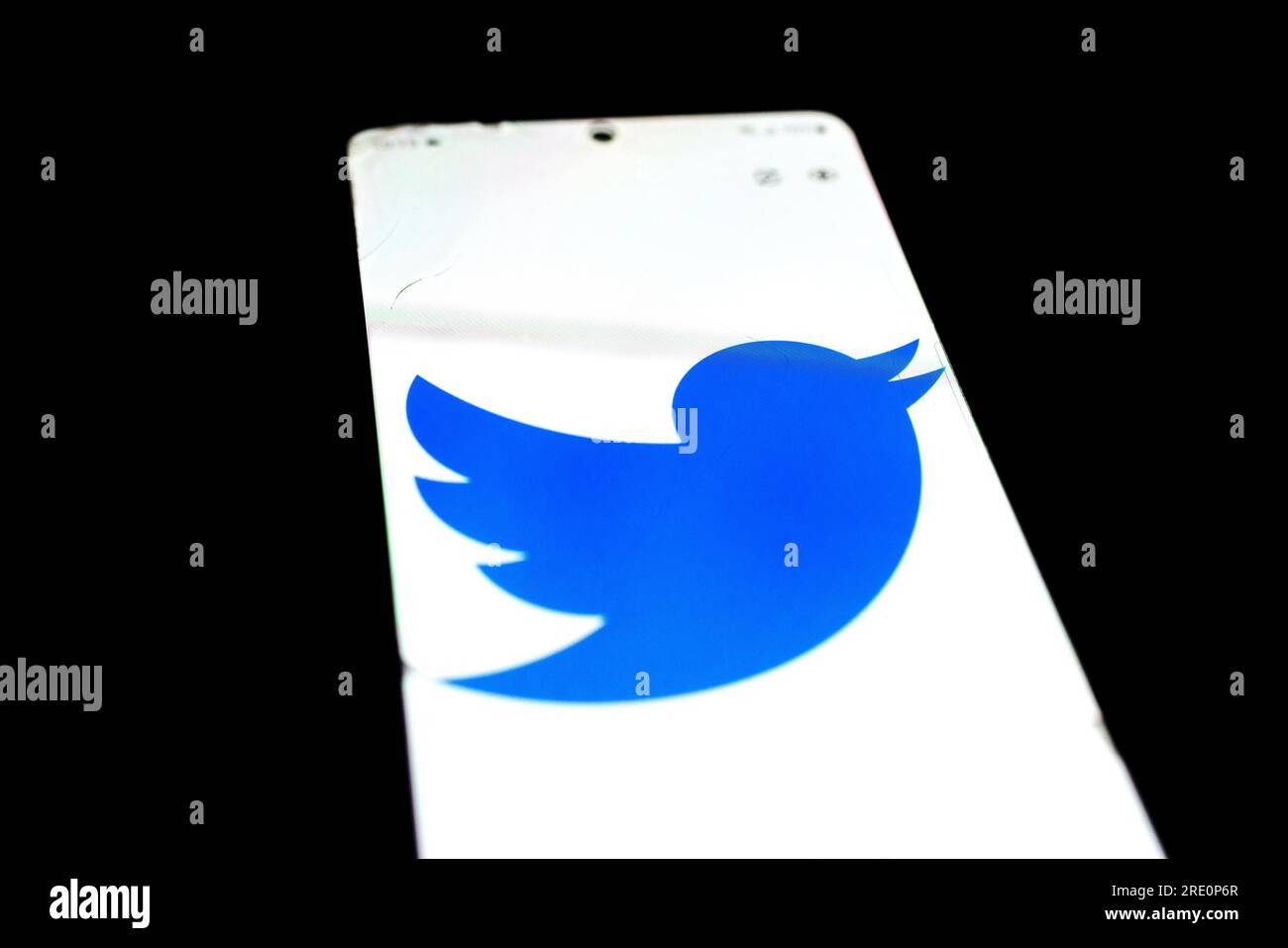 L'uccello di Twitter dormirà presto? Elon Musk scrive sui social media che l'uccello di Twitter sarà sostituito da un nuovo logo e il nome sarà sostituito da "X". Foto Stock