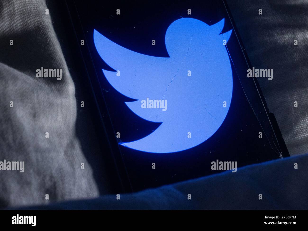 L'uccello di Twitter dormirà presto? Elon Musk scrive sui social media che l'uccello di Twitter sarà sostituito da un nuovo logo e il nome sarà sostituito da "X". Foto Stock