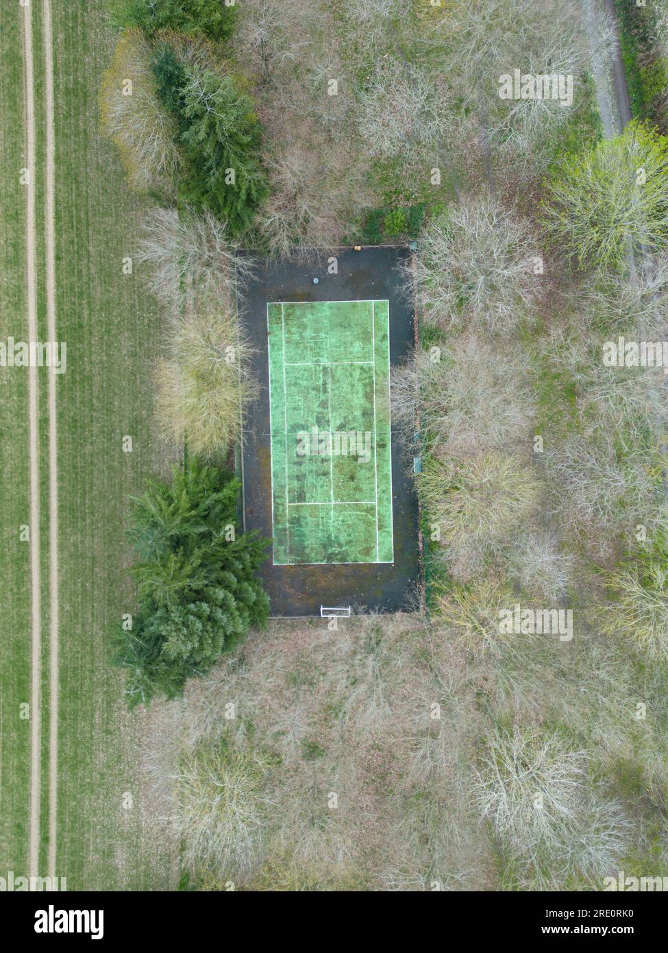 Un campo da tennis in disuso nel bosco nel South Shropshire, in Inghilterra. Foto Stock