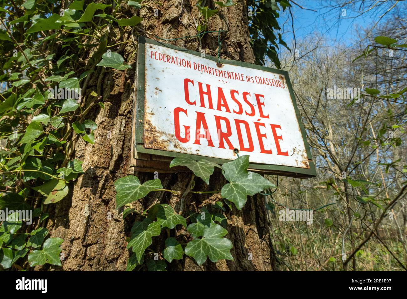 Private No Poachers cartello su un tronco di albero all'ingresso di un bosco privato, la Federazione di caccia dipartimentale Foto Stock