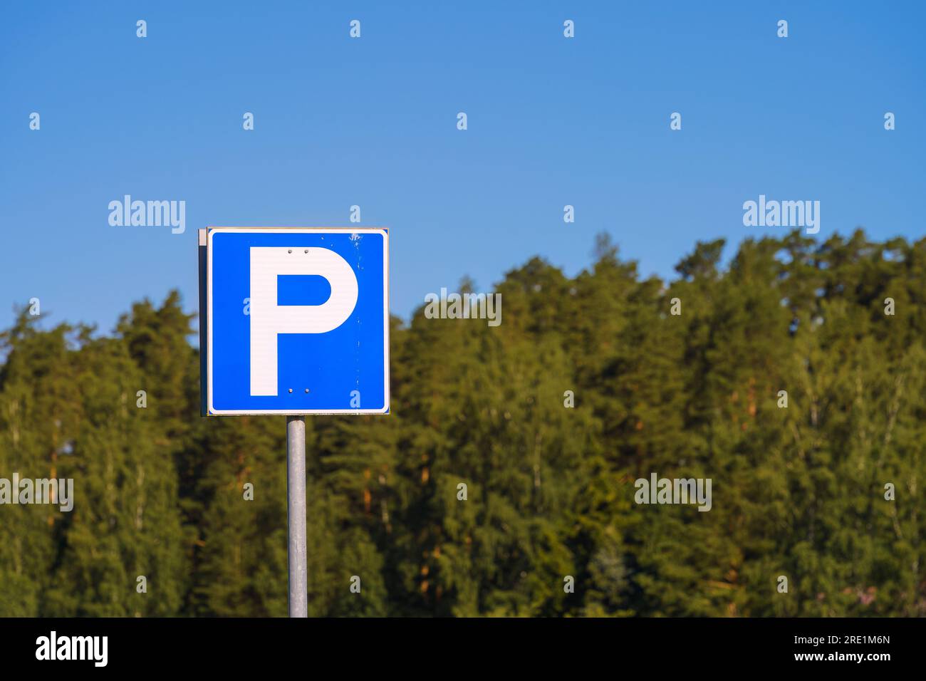 Cartello parcheggio P con cielo blu e foresta verde sullo sfondo. Foto Stock