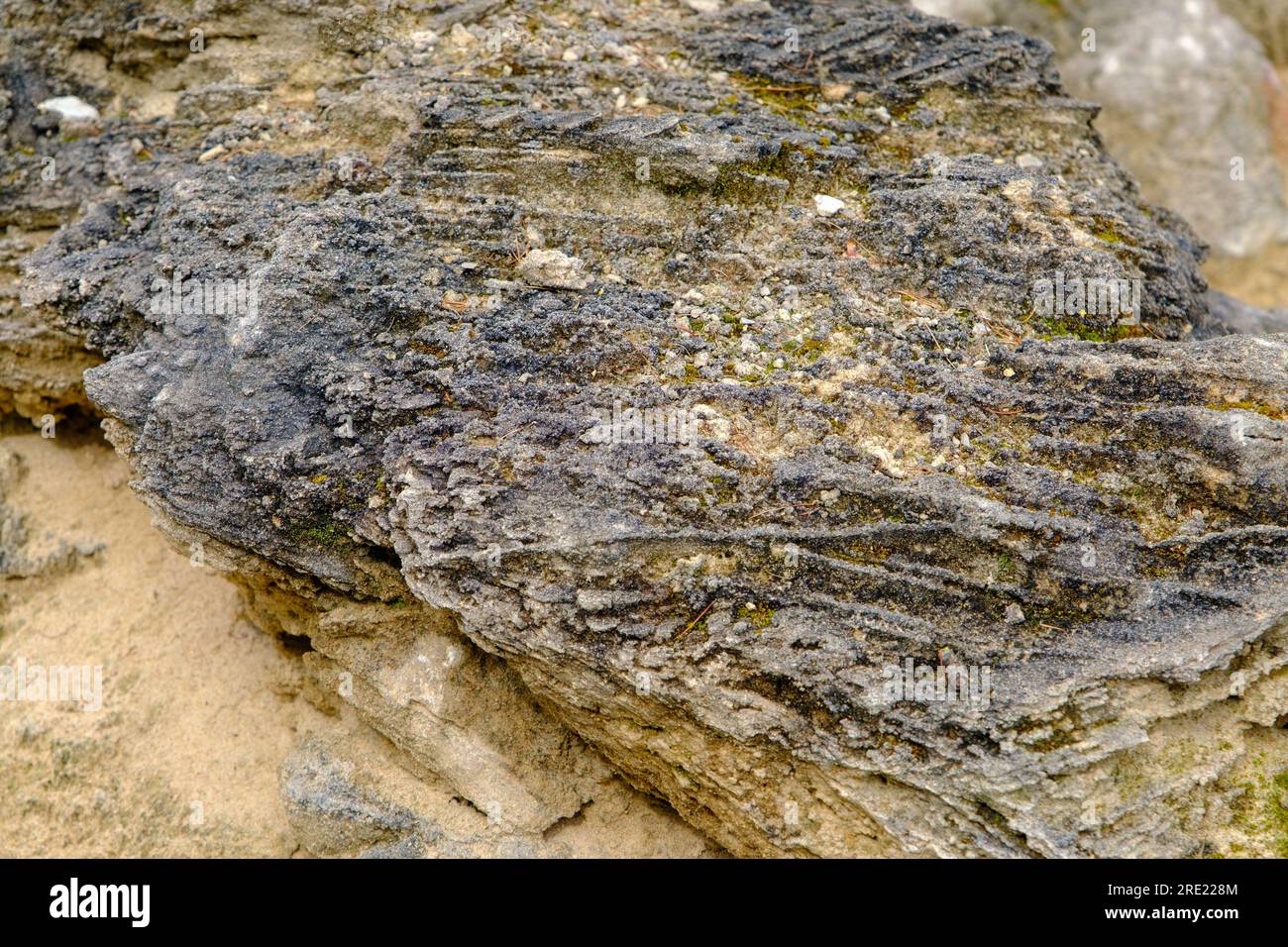 frammenti di arenaria. Nel corso del tempo, sono state ottenute varie forme di pietra. rocce modellate create dalla natura. Foto Stock