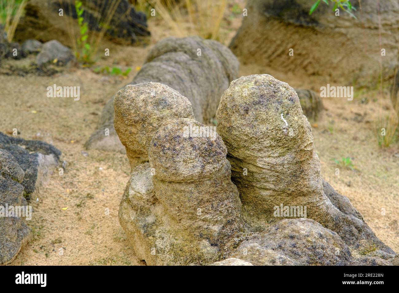 frammenti di arenaria. Nel corso del tempo, sono state ottenute varie forme di pietra. rocce modellate create dalla natura. Foto Stock
