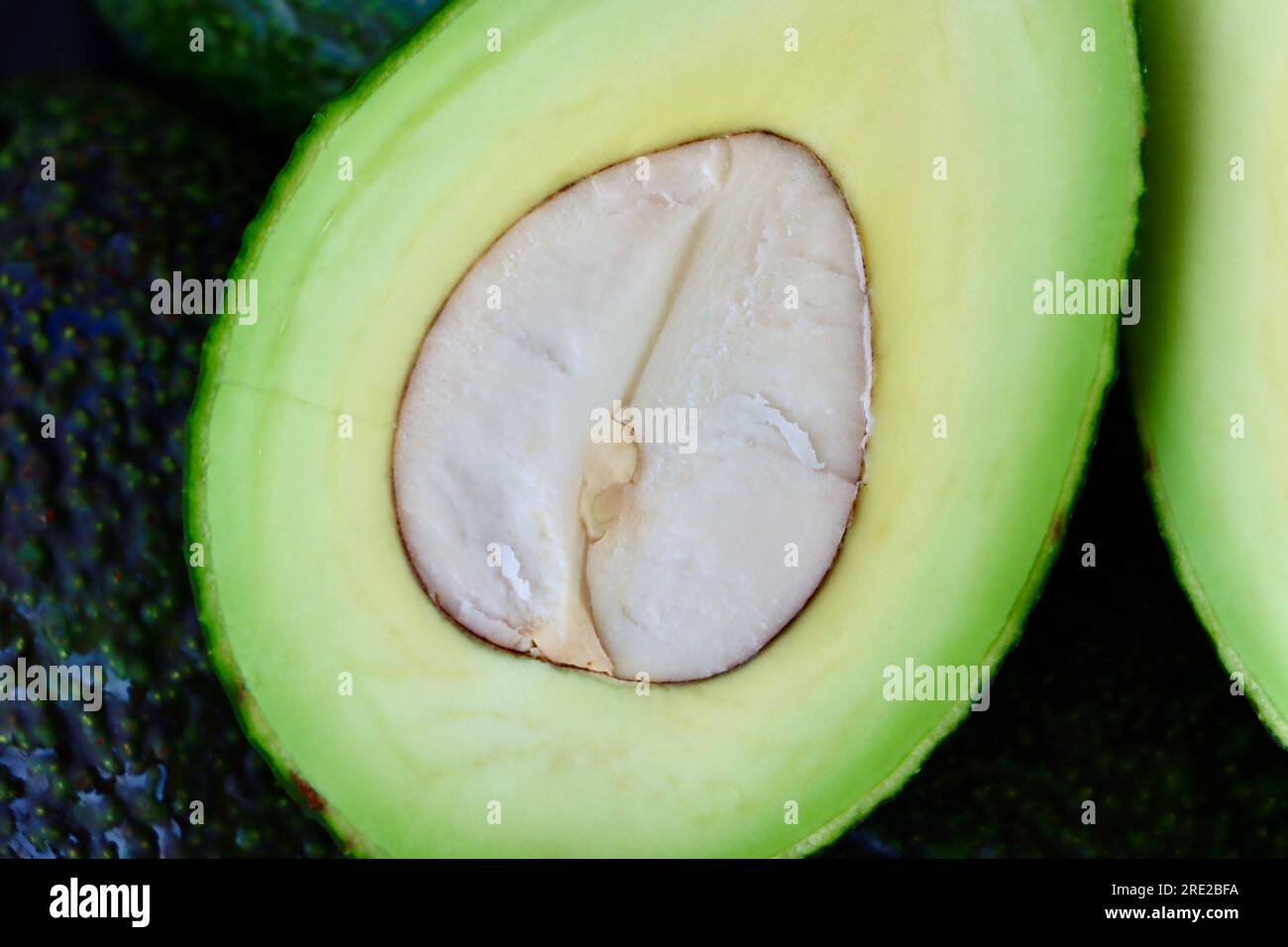 Avocado (Persea americana) tagliato in due attraverso il seme/fossa/kernel centrale. Foto Stock