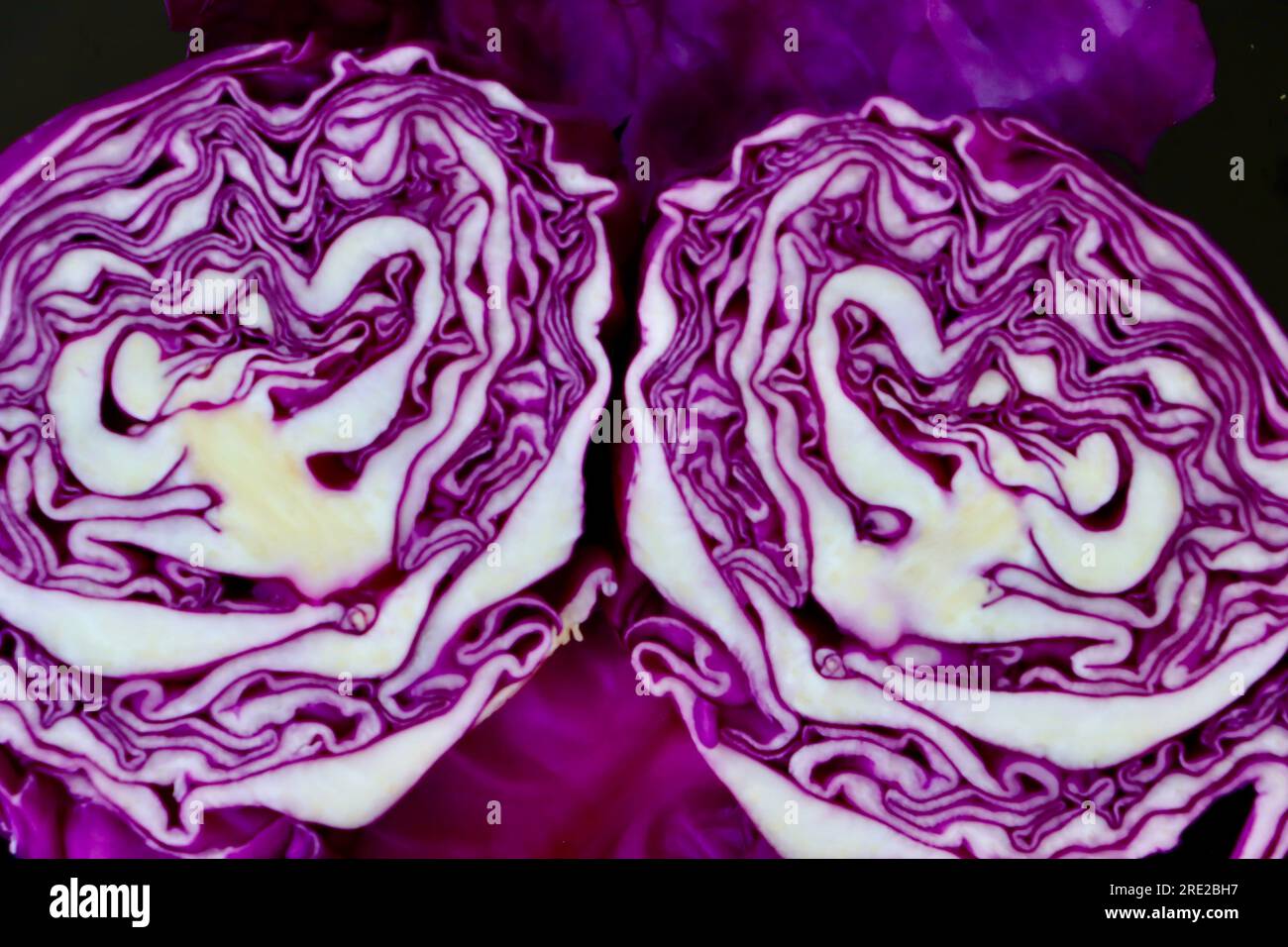 Cavolo rosso, Brassica oleracea tagliata in due Foto Stock