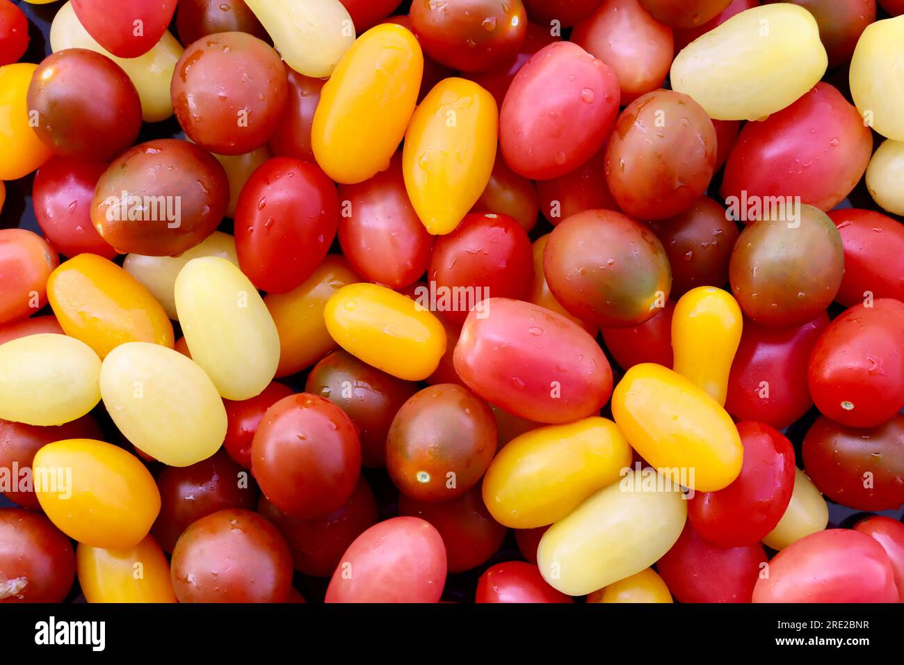 Pomodori ciliegini multicolori. Foto Stock