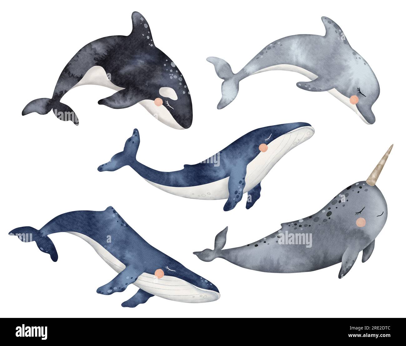 Set di graziosi delfini, narwhal, balena assassina o orcinus. Animale subacqueo. Illustrazione ad acquerello disegnata a mano di pesci di cetacei da vivaio Foto Stock