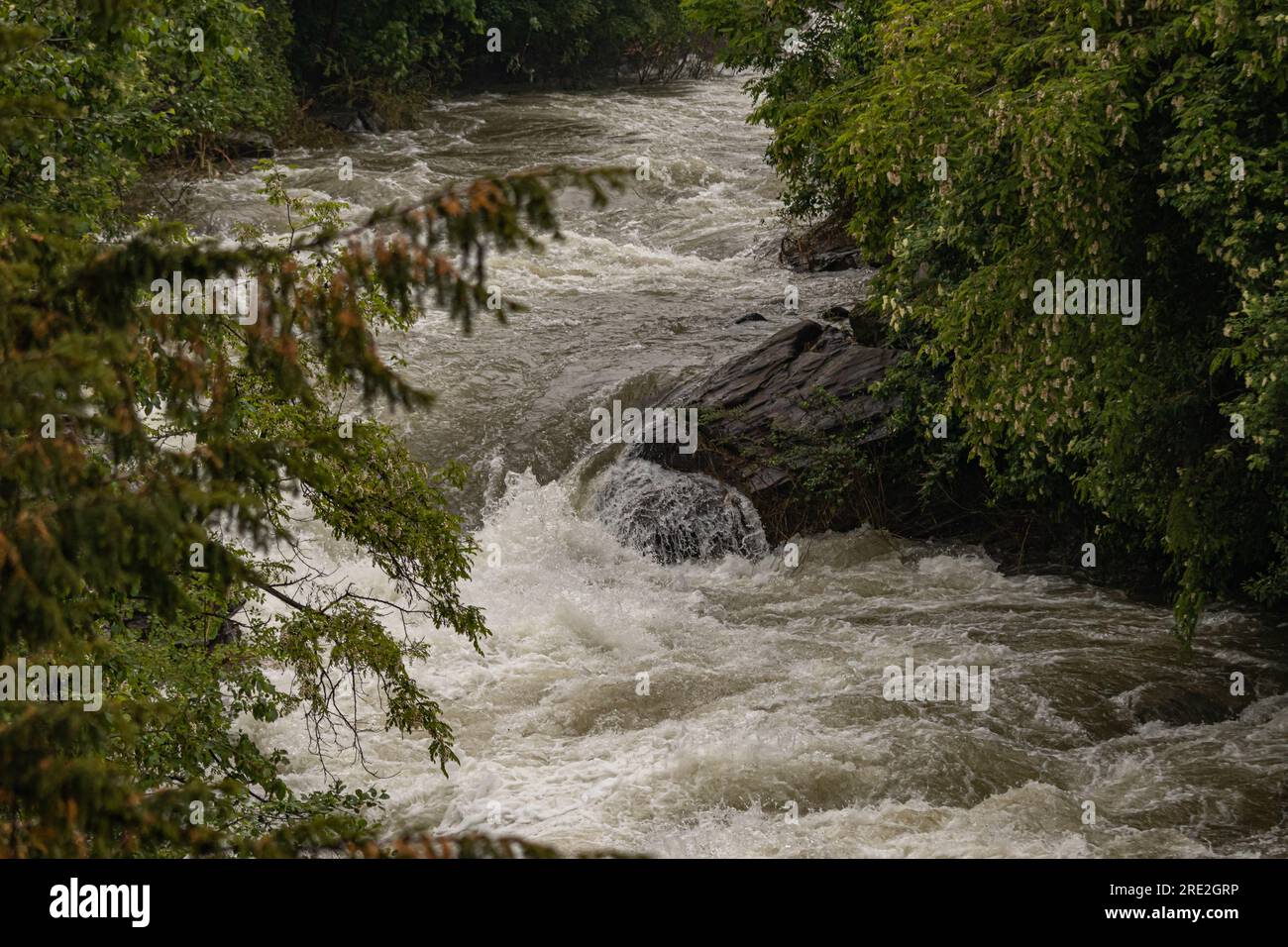 Torrente del Piemonte in piena Foto Stock