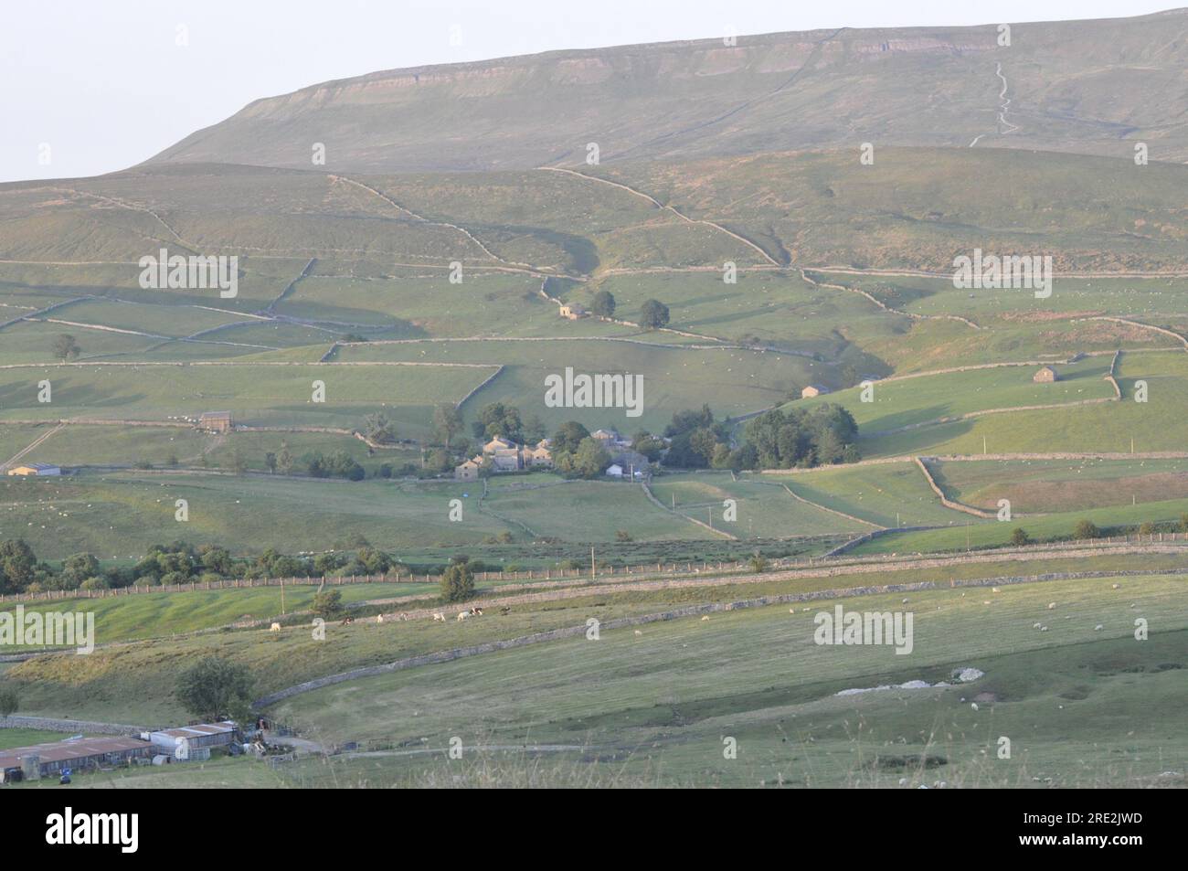Ribblesdale Foto Stock