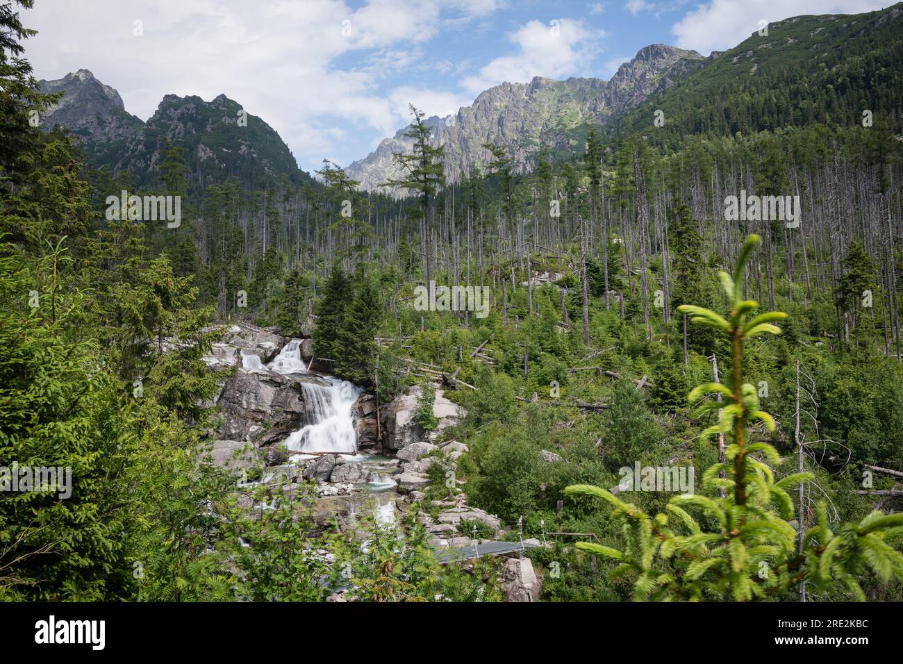 Lunga cascata sul torrente Cold Water vicino a Hrebienok nel Parco Nazionale degli alti Tatra, Slovacchia Foto Stock