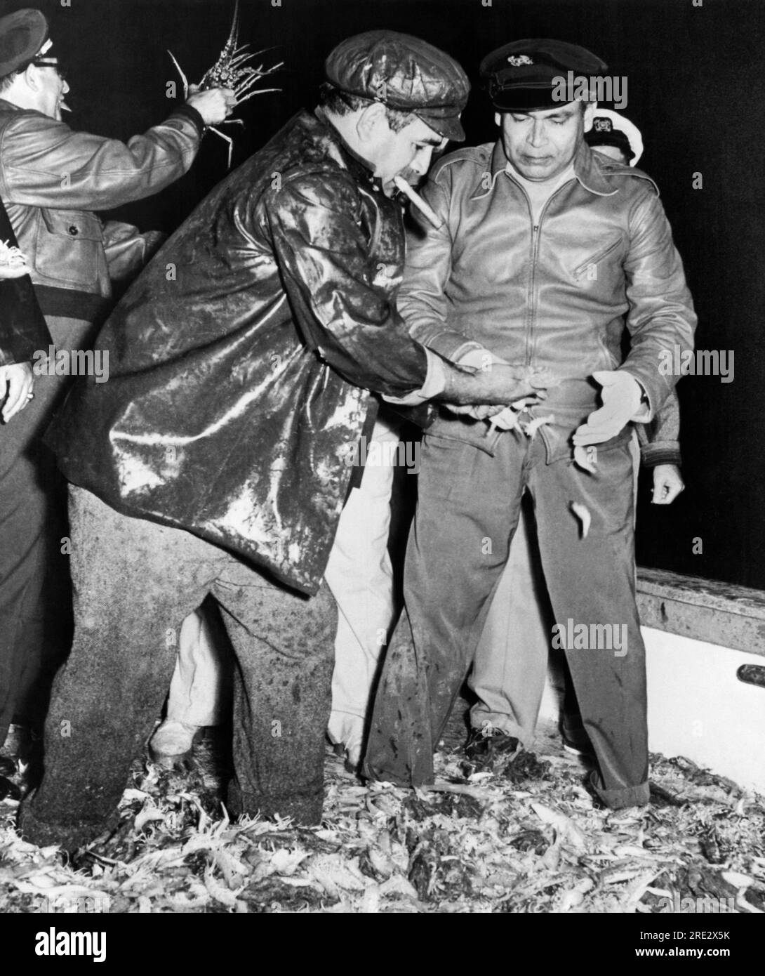 Cuba: 20 gennaio 1954 il presidente cubano Fulgencio Batista (a destra) guarda da vicino e una manciata della nuova sponda di gamberi al largo della costa meridionale del paese. Foto Stock