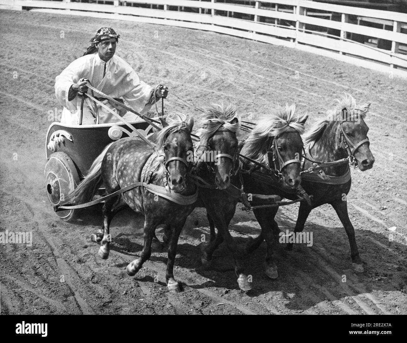 California: c. 1947 Un uomo che cavalca Un carro trainato da quattro cavalli. Foto Stock