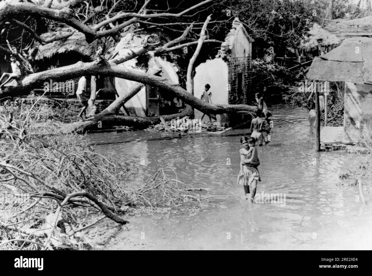 Bhadrak, India: 5 novembre 1971 bambini indiani camminano attraverso le acque alluvionali che circondano la loro casa a Bhadrak. Gli alberi cadenti hanno colpito la casa e l'hanno distrutta. Bhadrak era una delle tante città e villaggi colpiti dal ciclone. Foto Stock