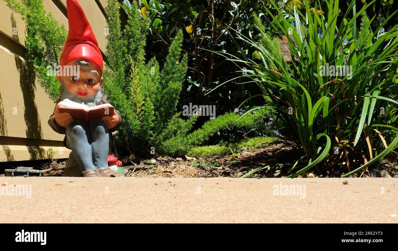 Uno gnomo da giardino che legge un libro all'aperto al sole circondato da piante e vegetazione; libro aperto in una giornata di sole; spazio copia. Foto Stock