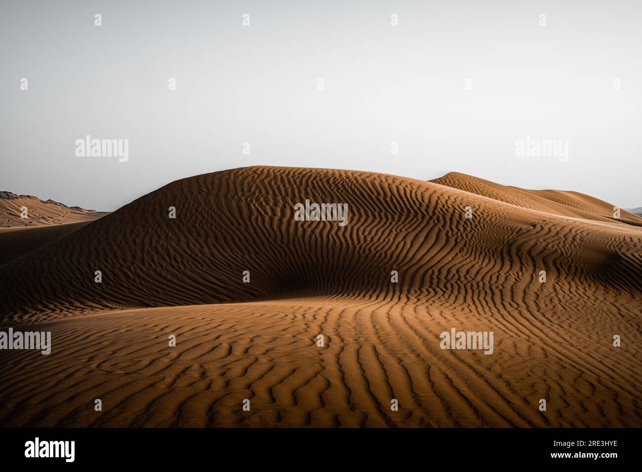 Dune del deserto di Dubai Foto Stock