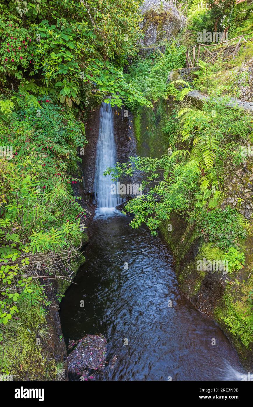 Cascata lungo la Levada do Furado, una delle più antiche levadas dell'isola Foto Stock