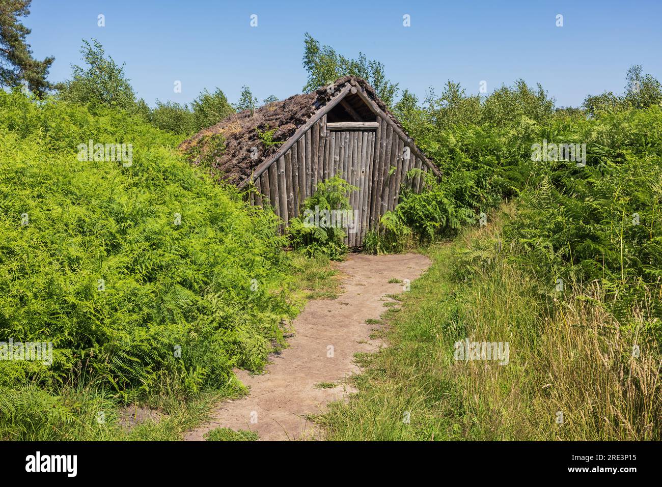Un piccolo capannone nel Grote Peel, un parco nazionale al confine tra Limburgo e Brabante settentrionale nei Paesi Bassi Foto Stock