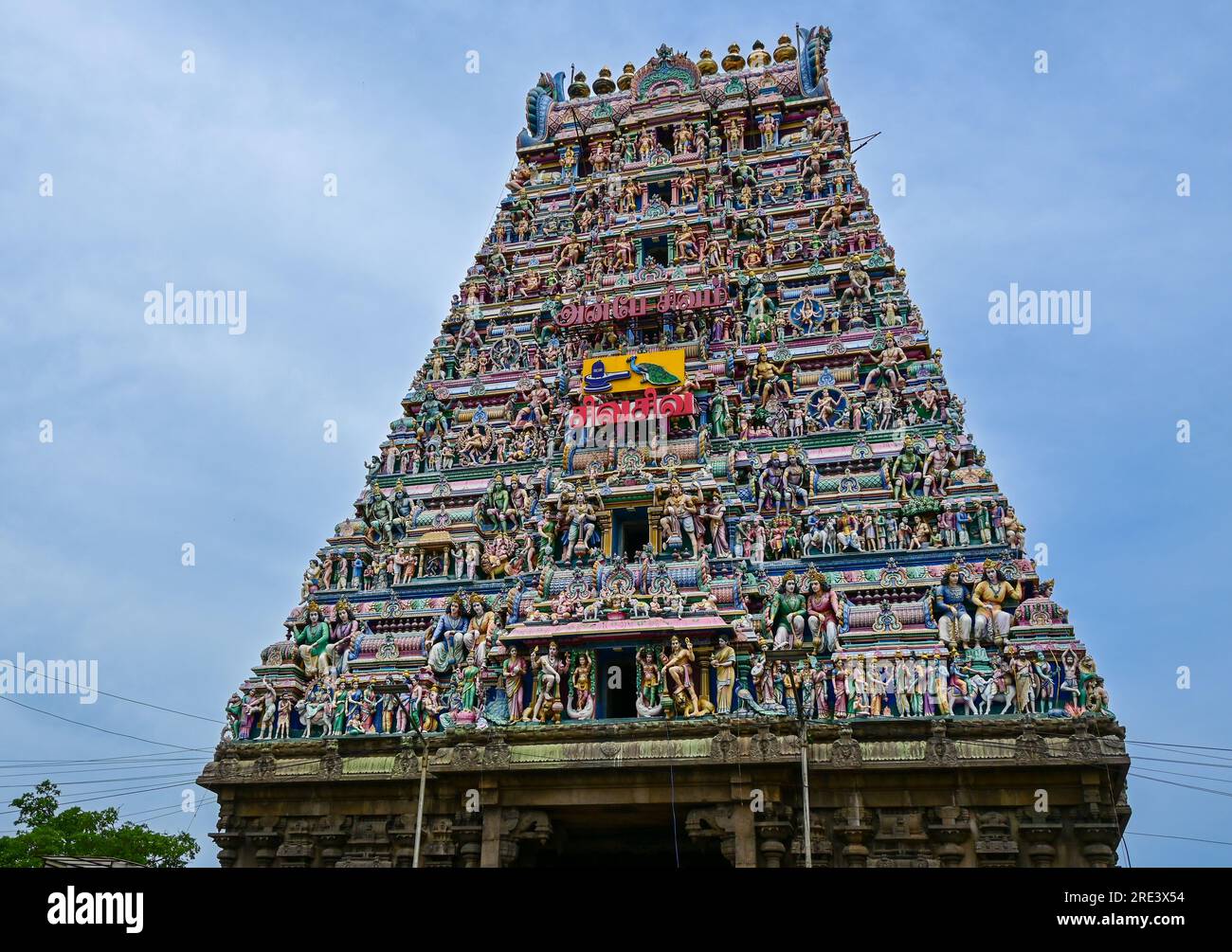 La Torre d'ingresso del Tempio di Kapaleeshwarar a Mylapore, Chennai, India Foto Stock