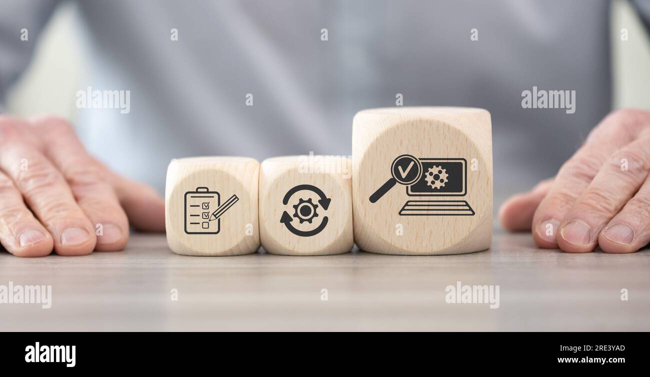 Blocchi di legno con simbolo del concetto di test software Foto Stock