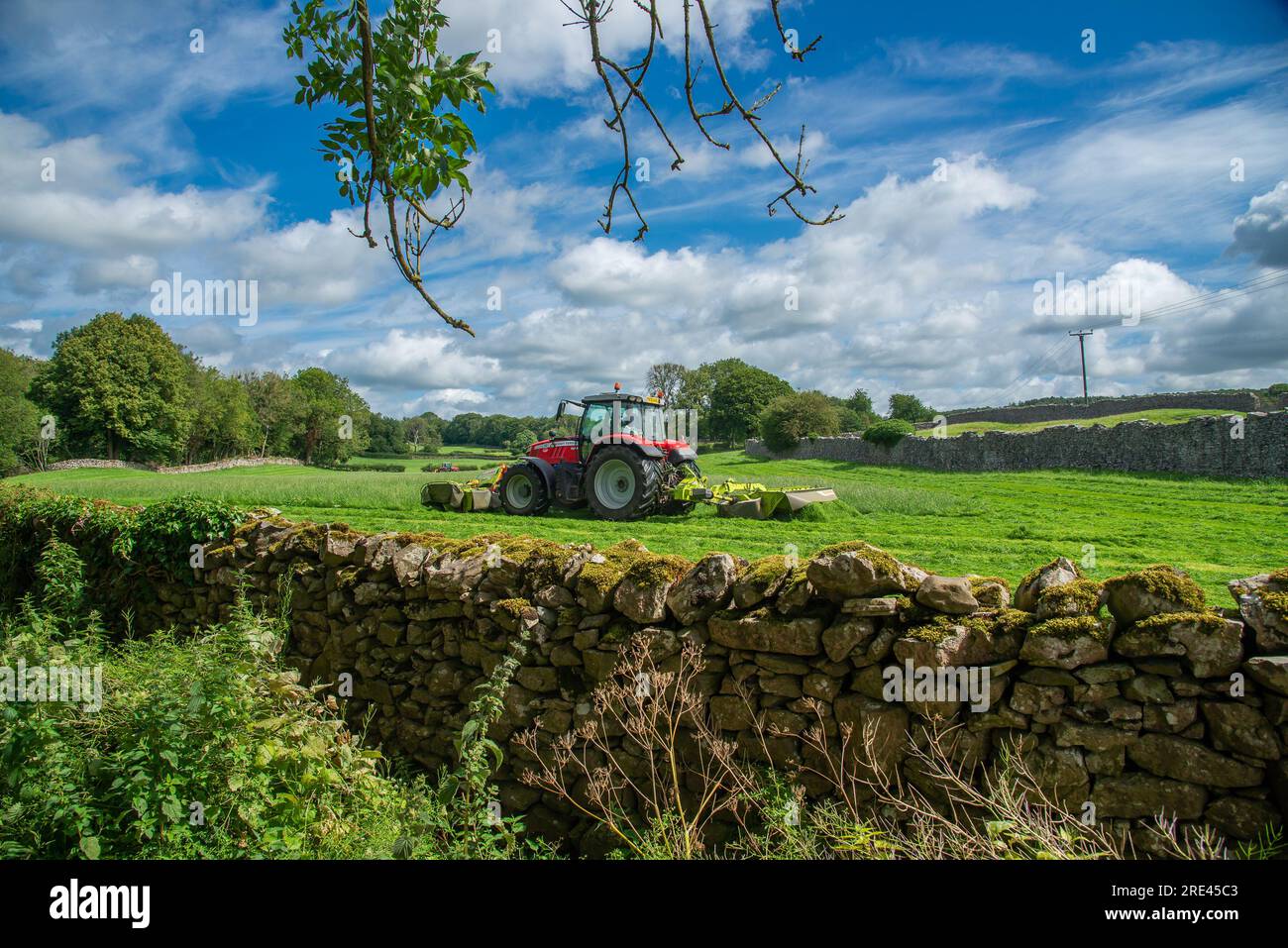 Taglio erba, Storth, Milnthorpe, Cumbria, Regno Unito Foto Stock