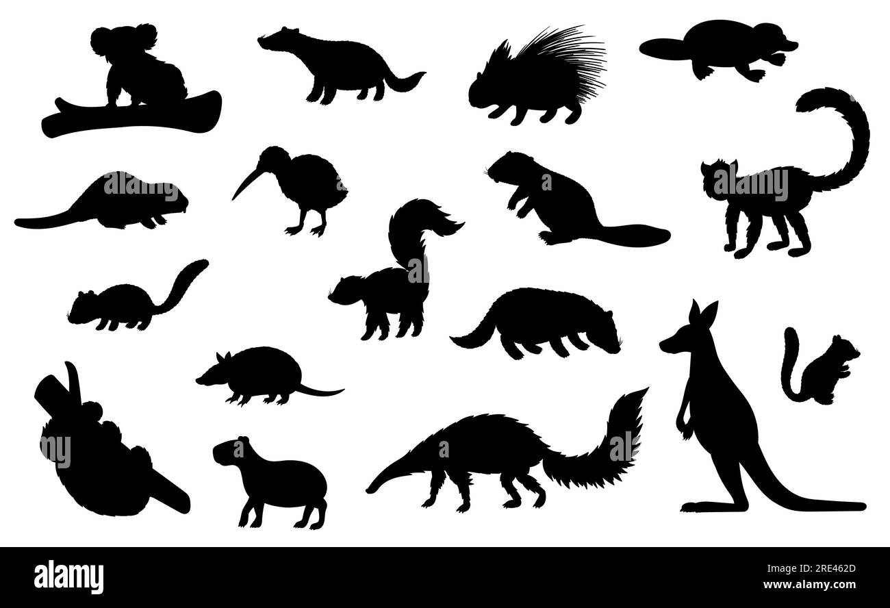 Sagome nere di animali selvatici di caccia e design vettoriale dello zoo. Canguro, orso koala, tasso e castoro, platypus, uccello kiwi, porcospino e lemure, echidna, capybara e armadillo Illustrazione Vettoriale