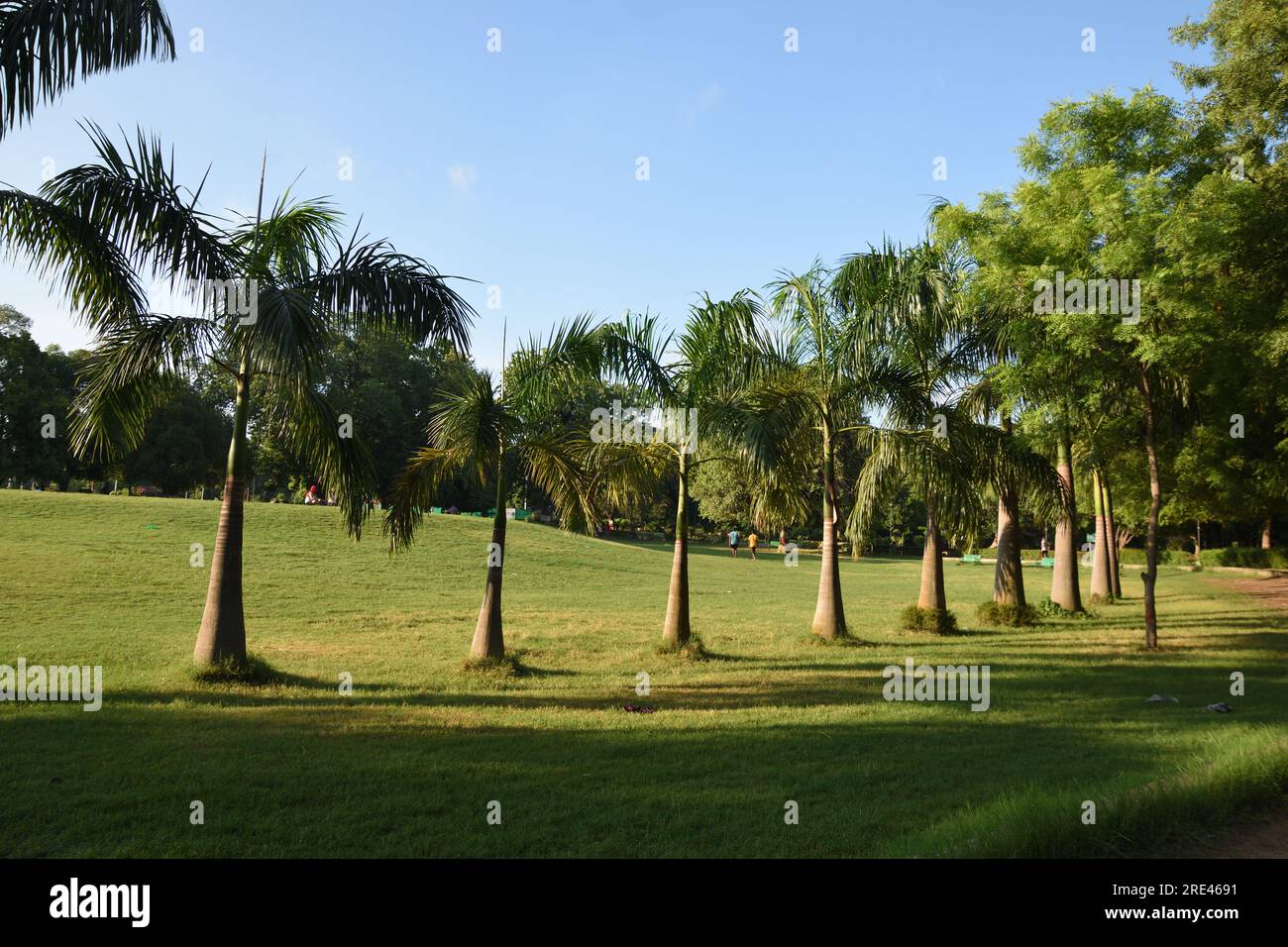 Chandrashekhar Azad Park (noto anche con il suo ex nome Alfred Park, e compagnia Bagh durante la compagnia Raj). È un parco pubblico a Prayagraj (forma Foto Stock