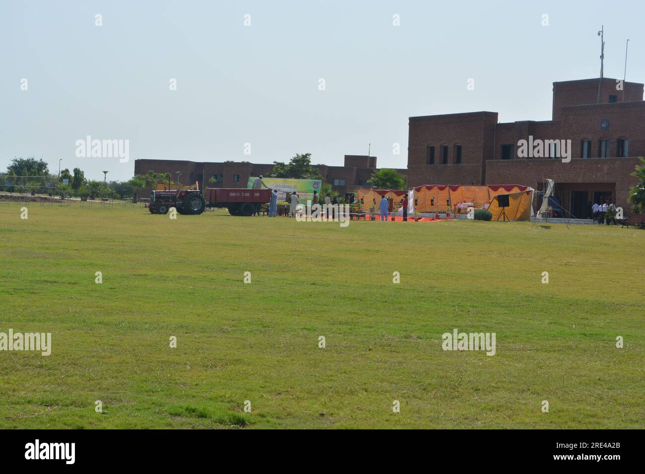 vicino alla natura Foto Stock