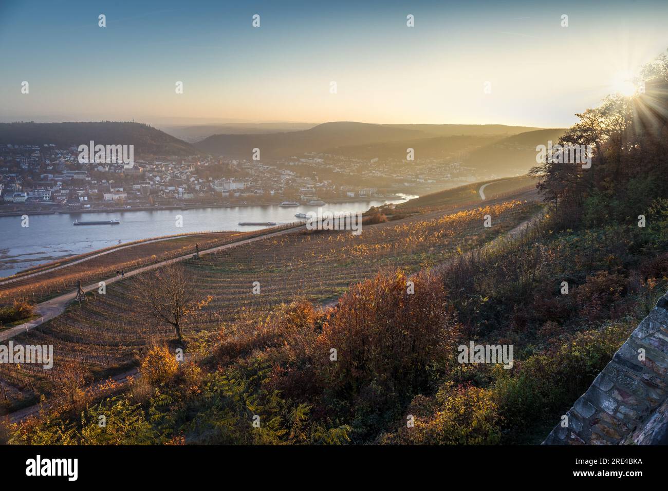 Geografia / viaggi, Germania, Assia, Ruedesheim, vista sulla piattaforma di osservazione ceduo verso Bingen, ULTERIORI-DIRITTI-CLEARANCE-INFO-NOT-AVAILABLE Foto Stock