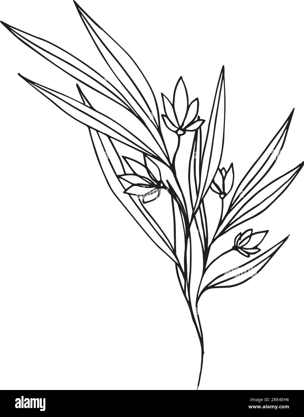 Composizione botanica astratta con elementi floreali minimi di erbe, fiori, foglie e rami. illustrazione vettoriale per il matrimonio Illustrazione Vettoriale