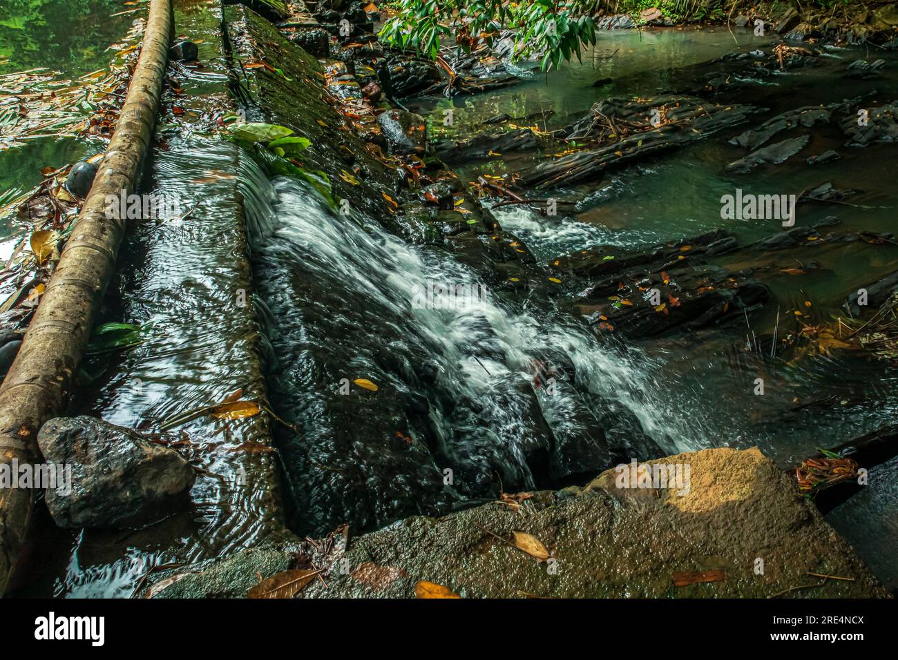 L'acqua che scorre dalla piccola cascata nella foresta profonda del villaggio dello sri lanka. Foto Stock