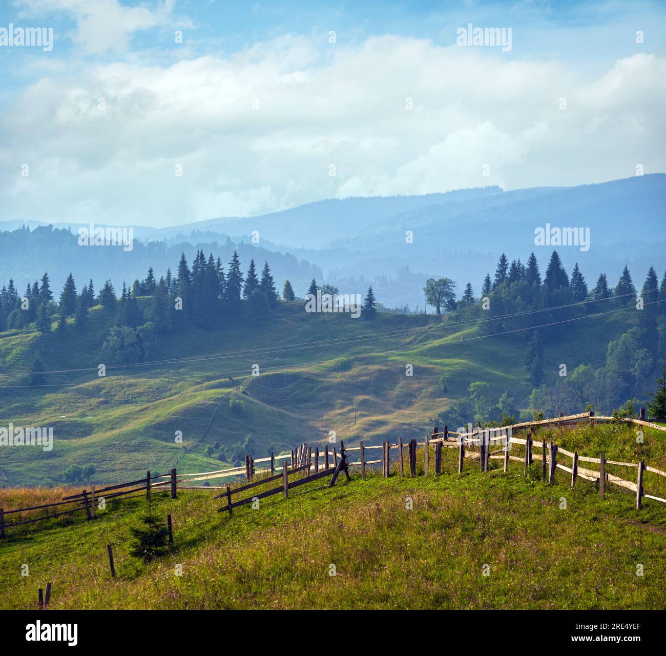 Pittoresca estate Carpazi montagna vista campagna, Ucraina Foto Stock