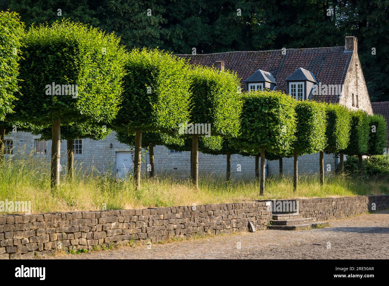 Fila di alberi topiari al Red Cloister Public Park, Bruxelles, Belgio Foto Stock