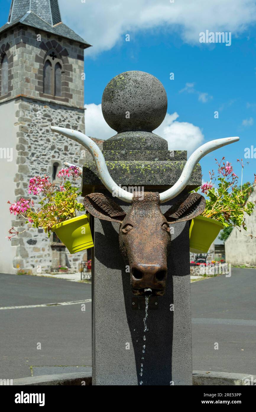 Montgreix villaggio. Fontana del villaggio che rappresenta una testa di vacca di salers, Cantal, Auvergne-Rhone-Alpes, Francia Foto Stock