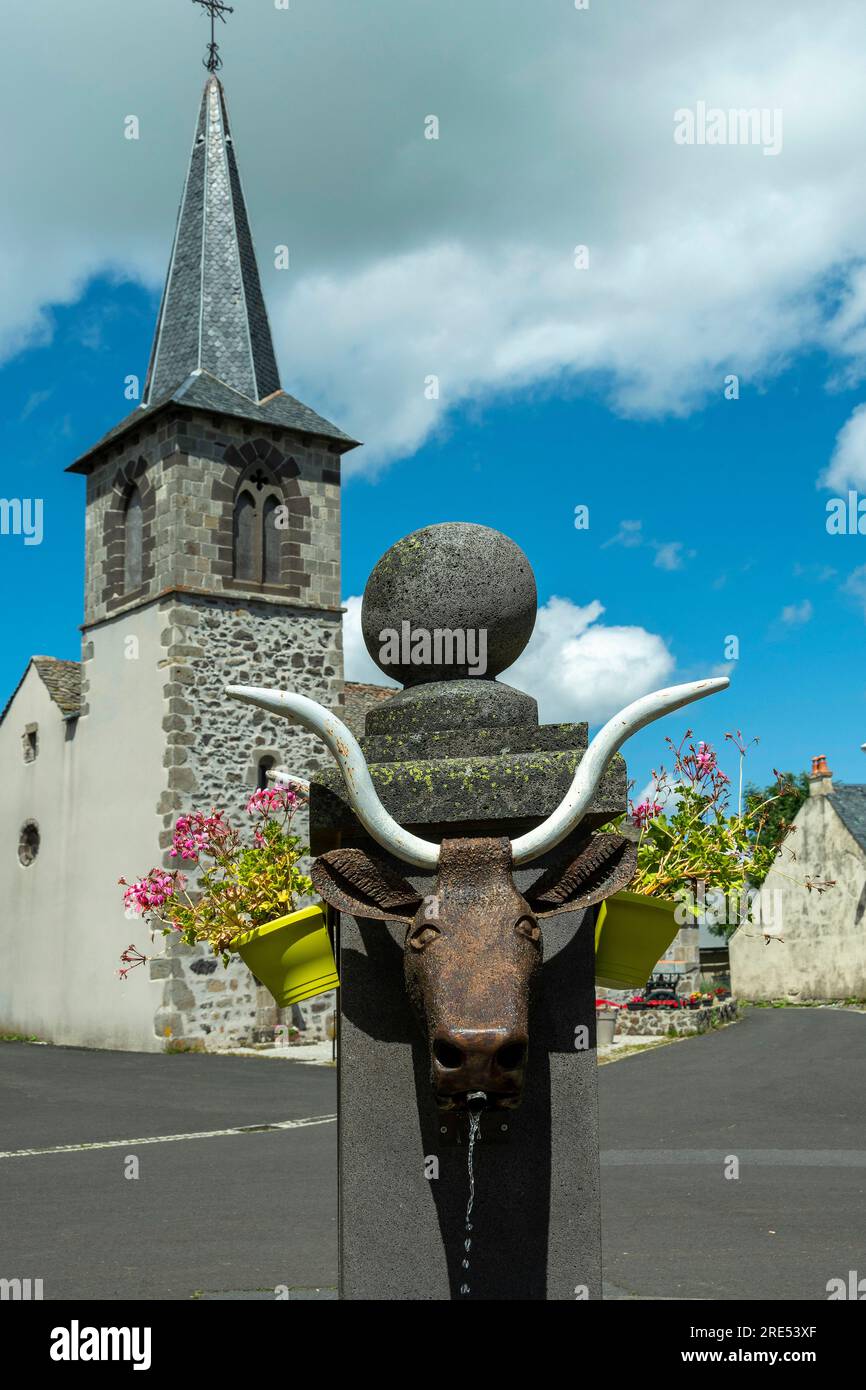 Montgreix villaggio. Fontana del villaggio che rappresenta una testa di vacca di salers, Cantal, Auvergne-Rhone-Alpes, Francia Foto Stock