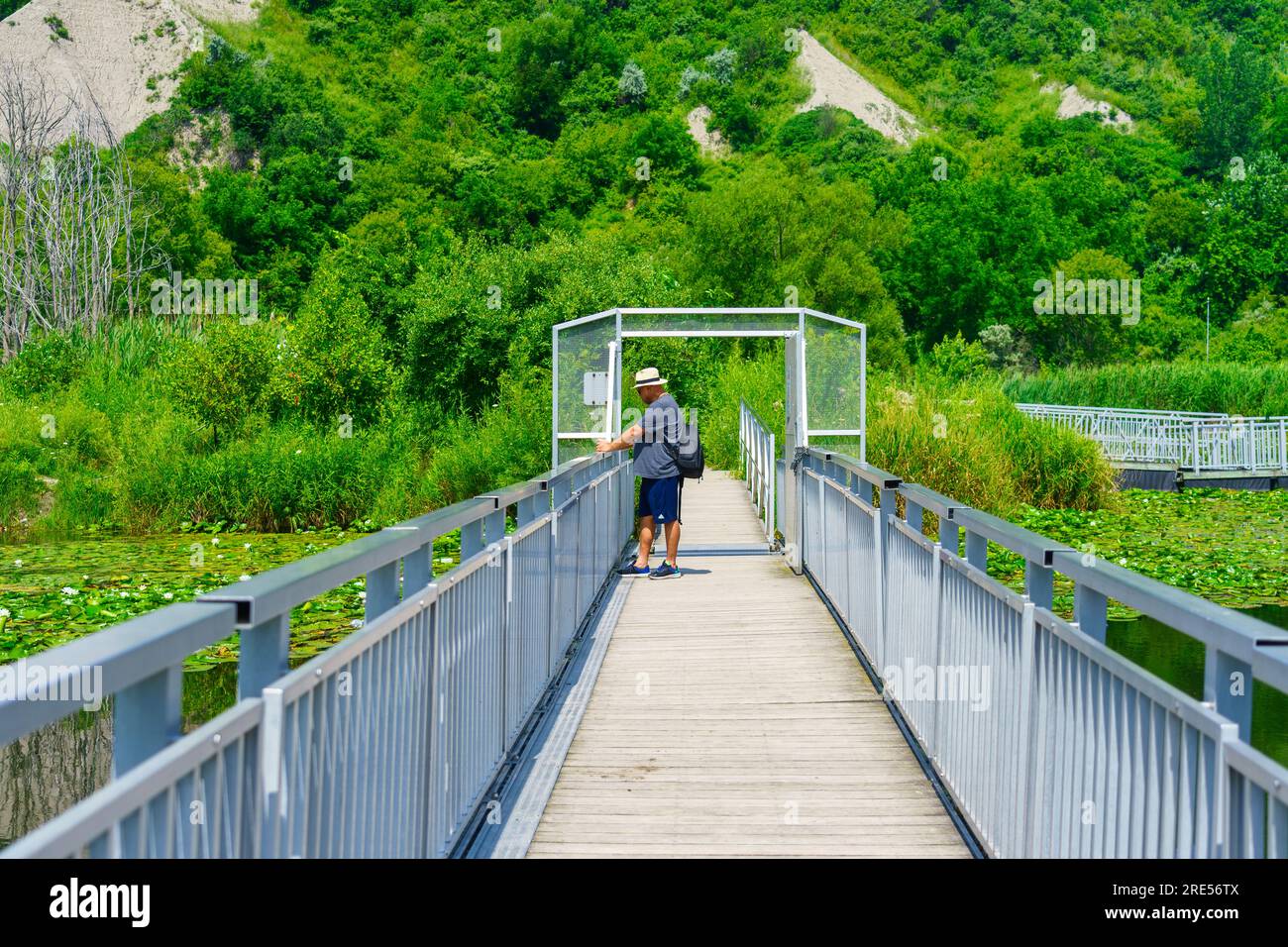 Toronto, Canada - 23 luglio 2023: Un uomo filma piante d'acqua con il suo smartphone. Si trova su un sentiero sopra l'acqua del lago Ontario nel Bluffer's Park. Foto Stock
