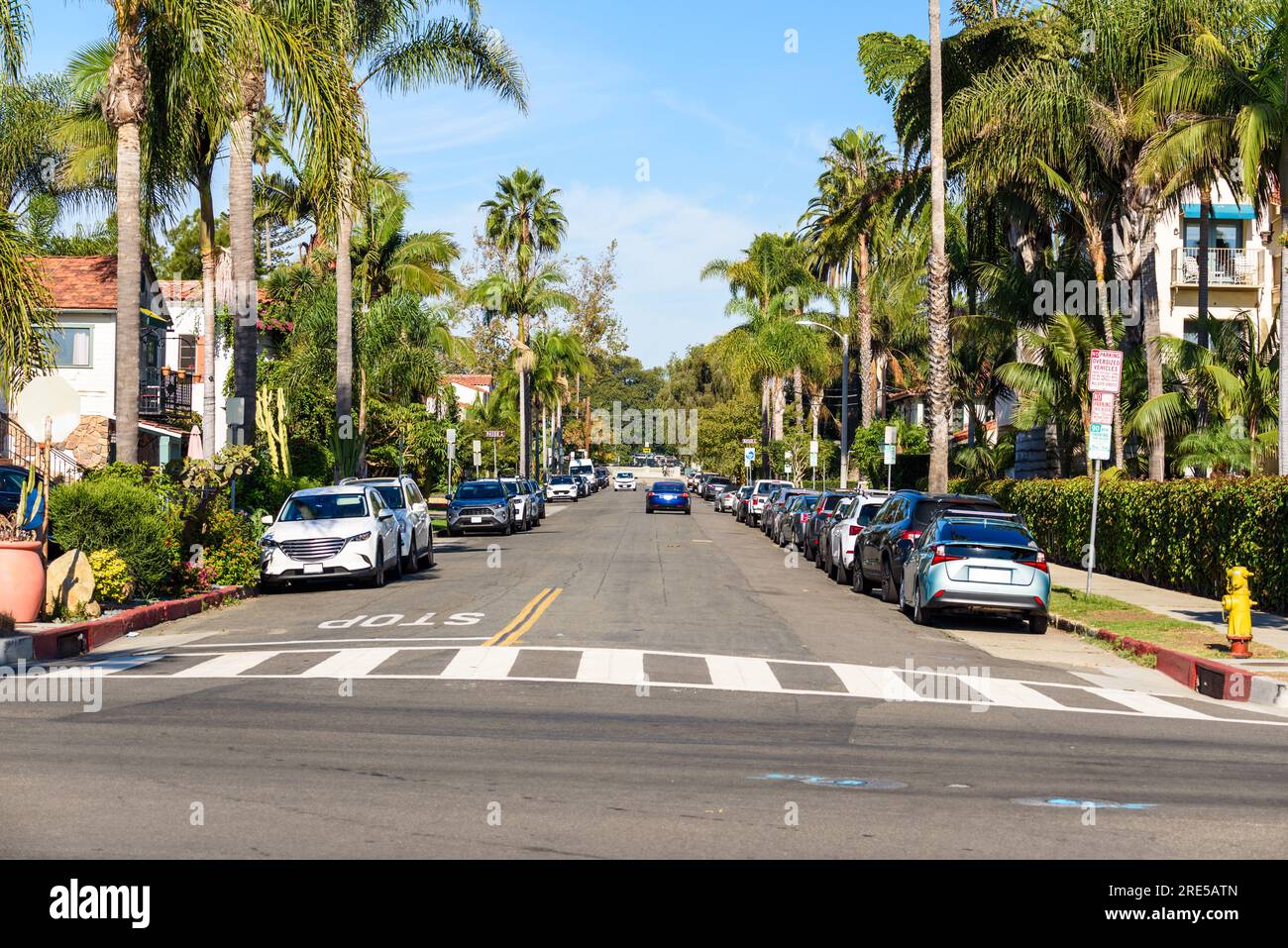 Strada fiancheggiata da palme a Santa Barabara, California, in una chiara mattinata autunnale Foto Stock
