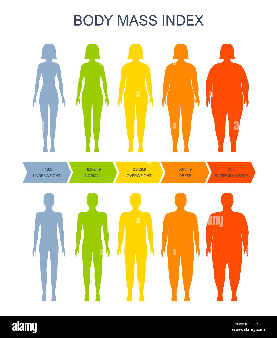Tabella dell'indice di massa corporea, uomo e donna silhouette, scala  Vector BMI di salute, obesità e sovrappeso. Infografica sull'indice di  massa corporea sul peso obeso e sulla scala BMI sottopeso dei grassi