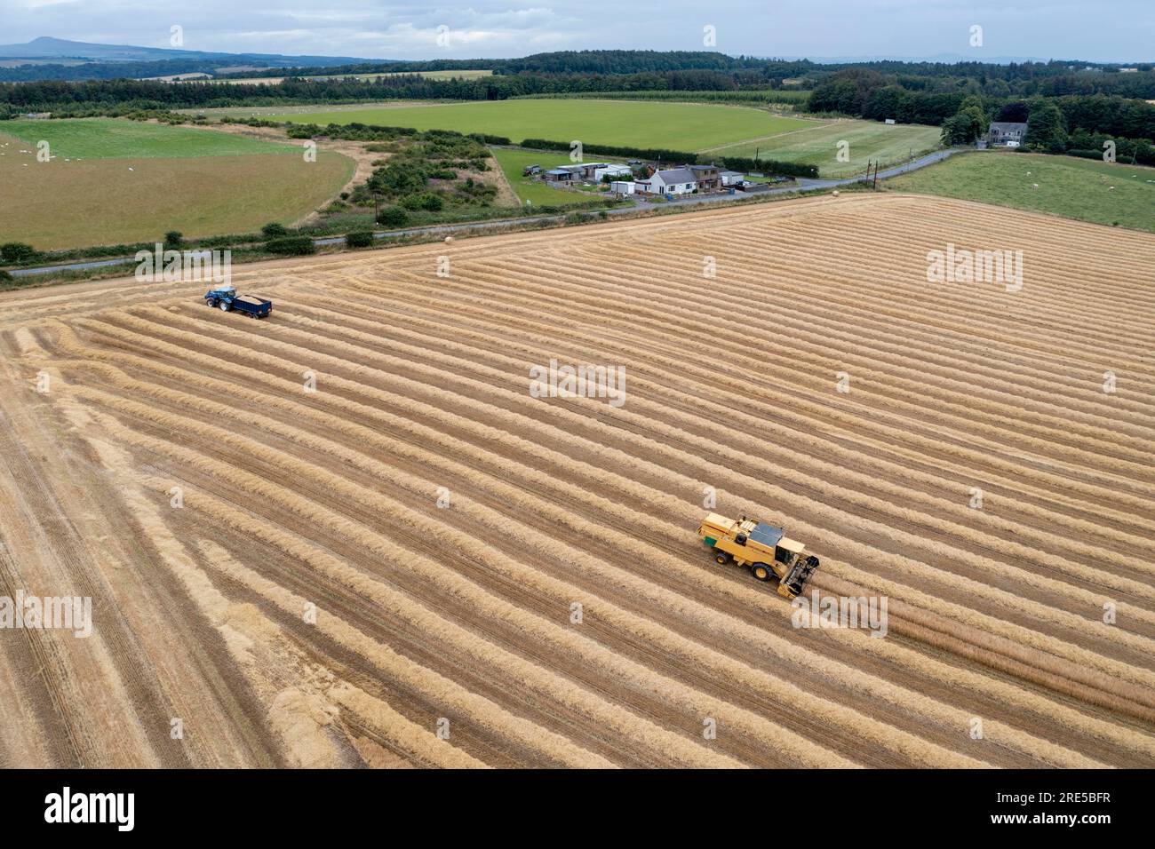 Vista aerea con droni di una mietitrebbia New Holland che raccoglie un raccolto vicino a Cardenden, Fife, Scozia. Foto Stock