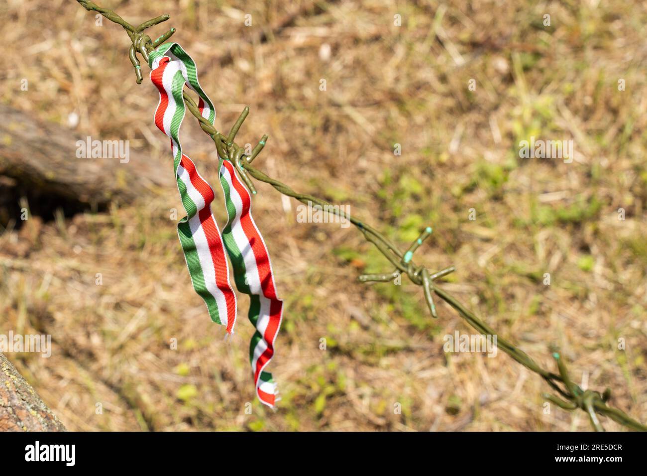 Filo spinato verniciato di verde con un nastro di colore nazionale ungherese Foto Stock