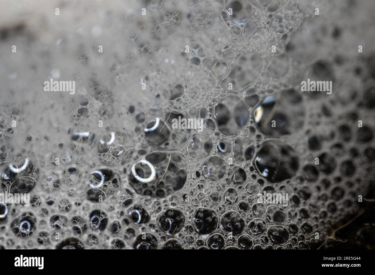 Schiuma a bolle di sapone macro su sfondo nero. Schiuma morbida bianca Foto Stock